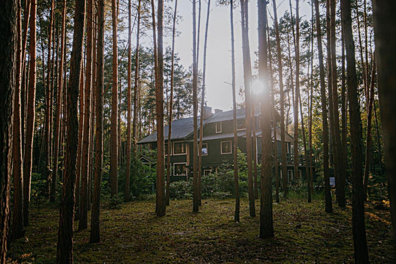 Bed & Breakfast Zacisze Lesne Nad Pilica *