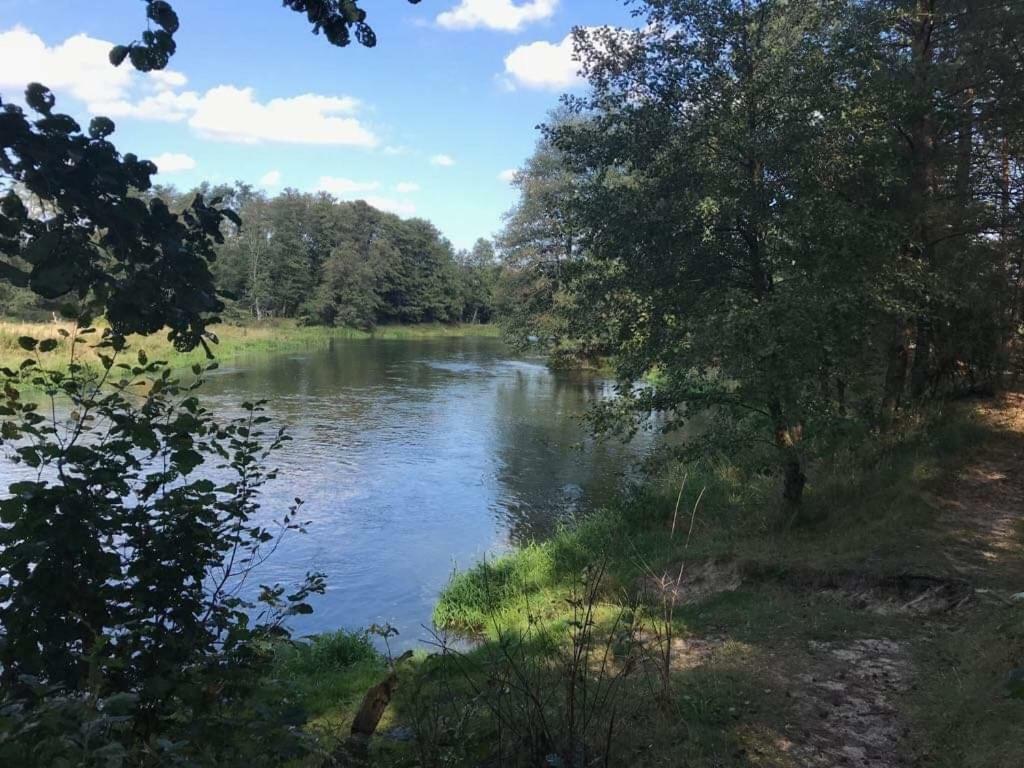 Zacisze Lesne Nad Pilica * Spała